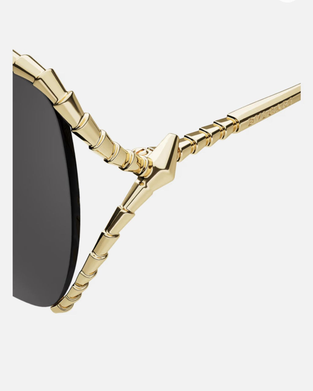Bvlgari gold serpenti frame detail close up