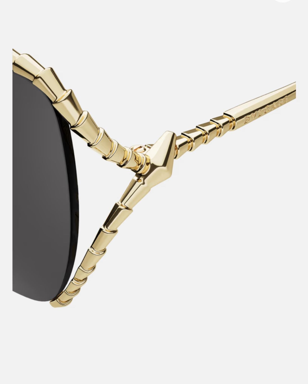 Bvlgari gold serpenti frame detail close up